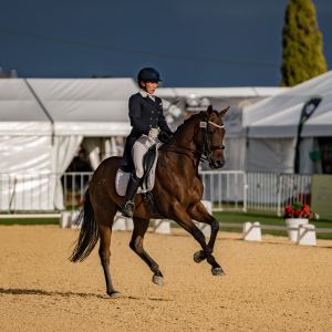 Competitive Small Tour+ Hack