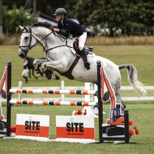 Horse for sale: Dynavyte Corysian Ego Z 
