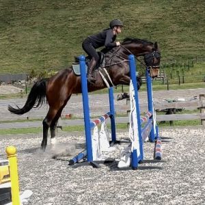 Scopey talented mare ready for the season
