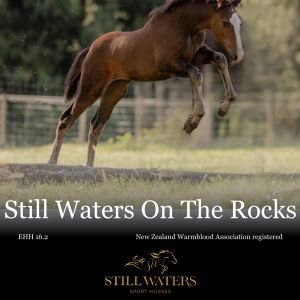 Still Waters On The Rocks