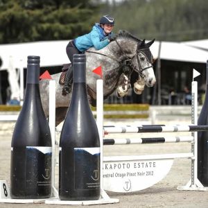 EB Contigo - 6yo | Serious Talent for Show Jumping or Eventing