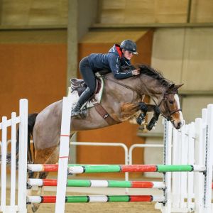Super talented 5YO Mare – Exceptional Potential 