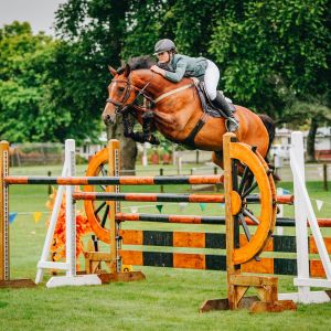 “Ultimate Schoolmaster"