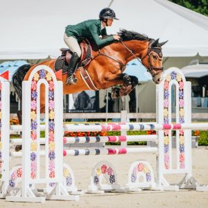 Horse for sale: Charisma Xtreme