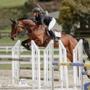 WSJ SIOUX || Showjumper/Showhunter 