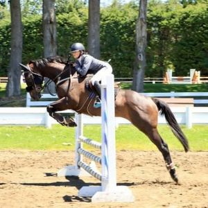 Genuine fun competitive OTTB
