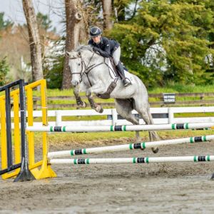 Genuine versatile mare