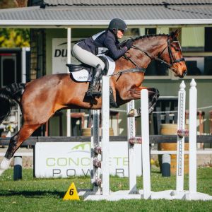 Lanavos - Unlimited Talent
