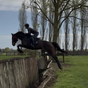 Exciting eventing prospect 
