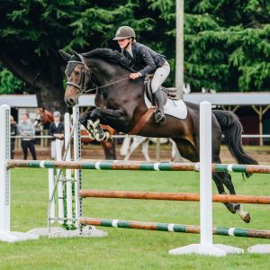 🌟 Quality 6-Year-Old Mare by Pennyslyvania 🌟