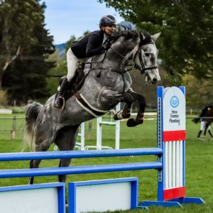 Exciting mare by Grandslam VDL Exciting mare by Grandslam VDL