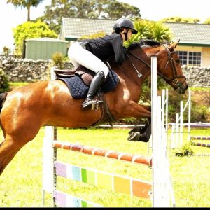 Ultimate young horse - Redciffs Soprano 