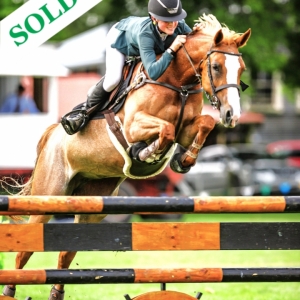 RECENTLY SOLD