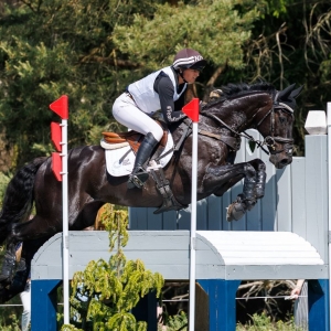 Super Sooty Second at Luhmuhlen 5*