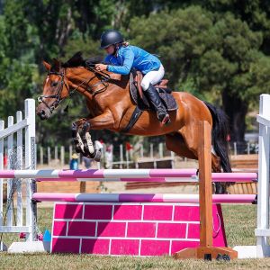 HIGHLY COMPETITIVE, FUN AND VERSATILE PONY 