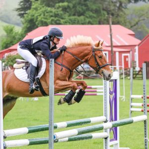 Awesome, safe all-round full height pony 