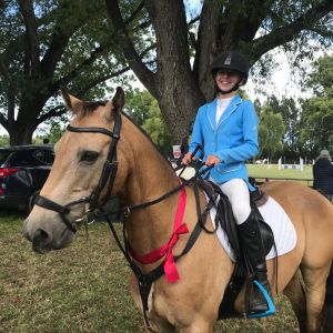 Horse for sale: WANTED TO LEASE PONY GRAND PRIX 