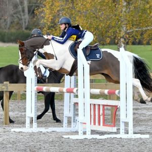 Ultimate Pony for Ambitious Rider