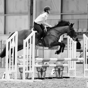 Horse for sale: Ultimate all-round pony