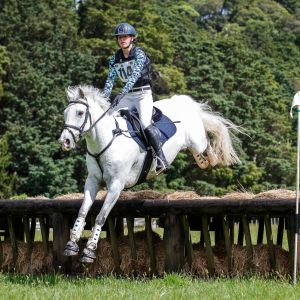 Horse for sale: 1 in a Million – Quality, Multi Talented Superstar Pony
