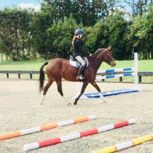 Exceptional Pony - Your next superstar!