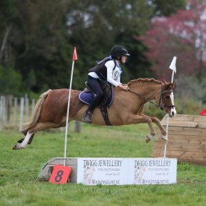 Ultimate 12.2hh pony with Talent 