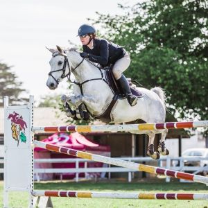 Top Jumping/Eventing Pony