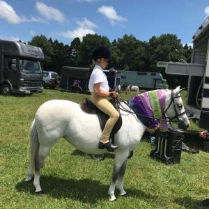 Woodrow Citabria 12.2hh Experienced Welsh Partbred Mare