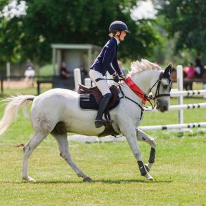 Superstar Pony