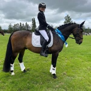 RIFESYDE PRANCER-One of NZ’s Highest Scoring Dressage Ponies