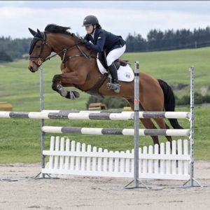 Mini Prix Pony