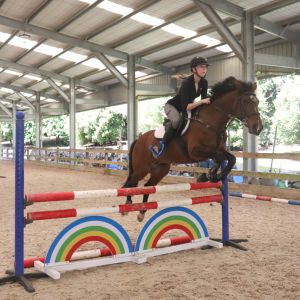 Horse for sale: Quality showjumping pony 