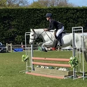 TALENTED SHOW JUMPING PONY 