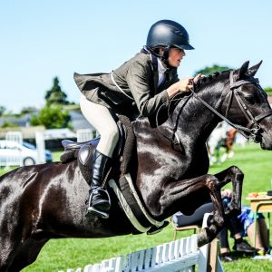 Horse for sale: Ultimate genuine alrounder