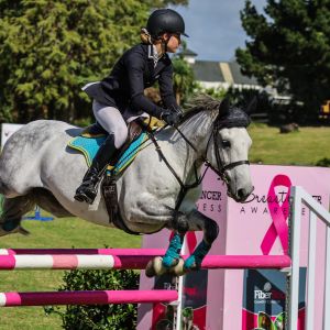 Outstanding show jumping pony