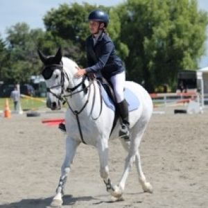 Horse for sale: 147.5cm, 11yo Gisborne bred pony