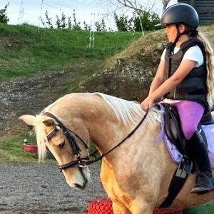 Stunning full size pony with a future