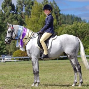 Horse for sale: Quality show/dressage pony