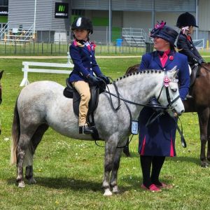 Horse for sale: Gorgeous lead rein pony, FYR