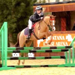 Super allrounder pony show or jump 