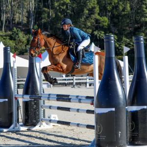 14. 2 Genuine Show Jumping Pony or Eventor