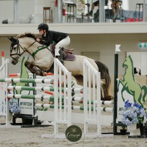 Grand Prix Showjumping Pony