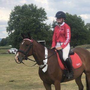 Competitive All-Rounder Talented Pony