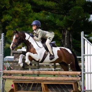 Super Talented Competitive Kids Pony 