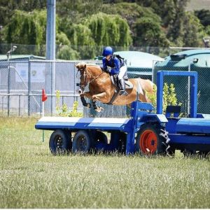 Amazing All Round full height pony 