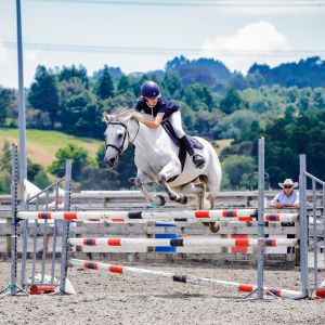 Speedy Show Jumping Pony