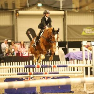 Super Competitive Full Height Pony