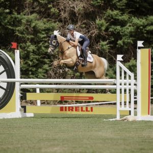 Mini Prix Showjumping Pony