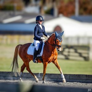 FH Lucky Strike ("Casino") – Exceptional 145cm (14.1hh) Level 3 Dressage Pony