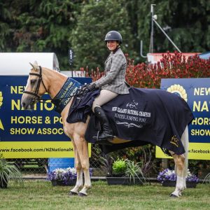 All-round Multi Champion winning pony